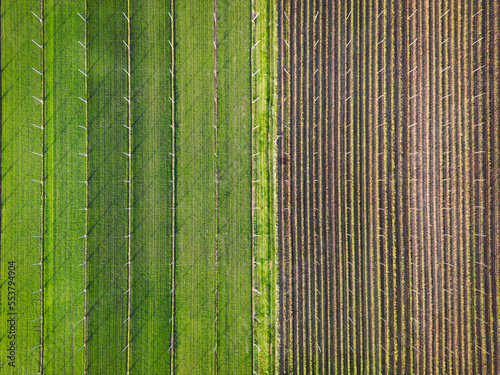 Birdseye view of agricultural fields  half covered in green crops and other in dirt
