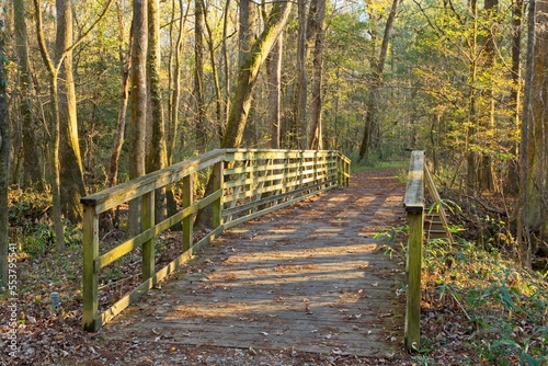 Dappled light falls on footbridge along bottomland trail In Congaree National Park. photo