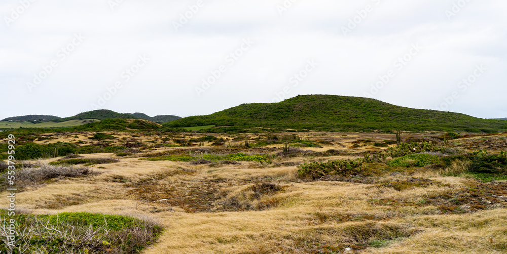 landscape in desert with green fields, mountains, sand and grey sky