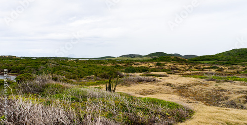 landscape in desert with green fields, mountains, sand and grey sky © Noemie