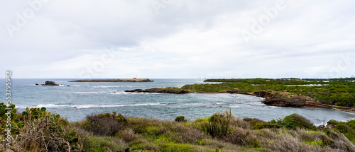 Wild and empty coastline with sand, desert, ocean and grey sky