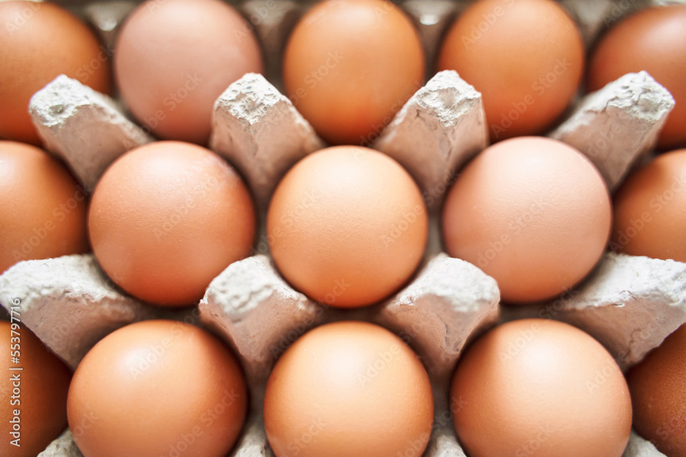 Eggs set. Many food protein. Colorful bright on background. Hard shadow. Easter sun box. Carton organic concept. Traditional cuisine top view. Flatlay Eggs set. Many food protein. Colorful bright on background. Hard shadow. Easter sun box. Carton organic concept. Traditional cuisine top view. Flatlay