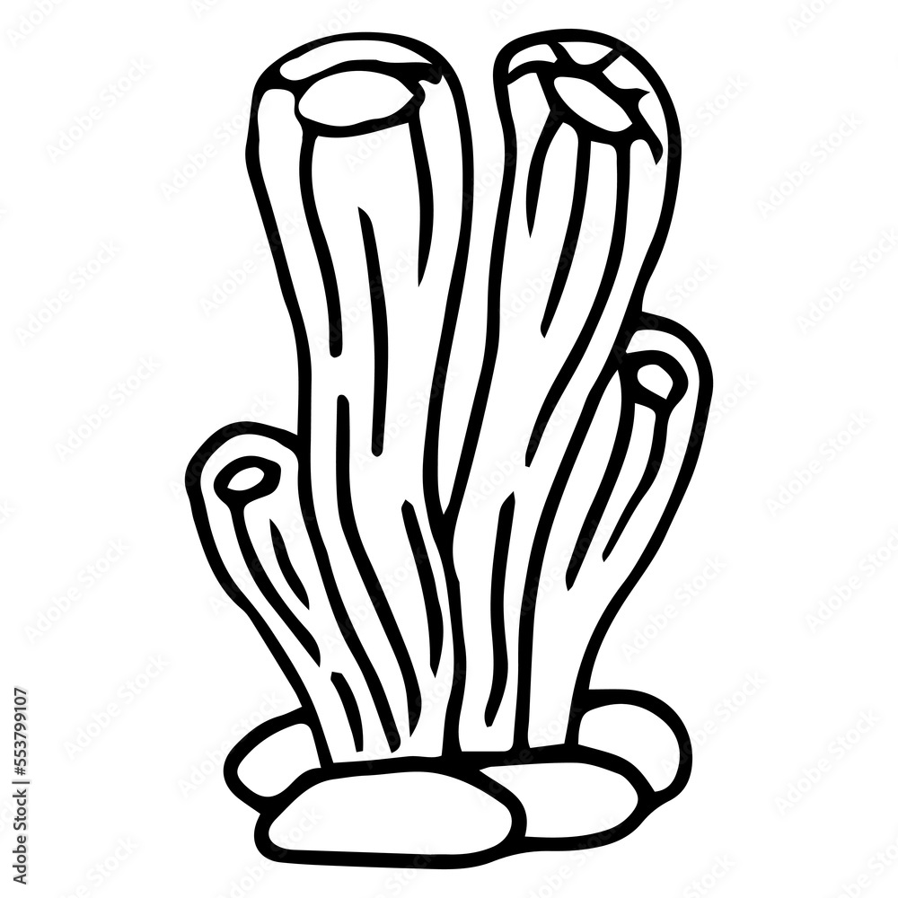 hand drawn cartoon seaweed isolated on white background hand drawn cartoon seaweed isolated on white background