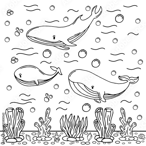 Whale Coloring Page Colored Illustration