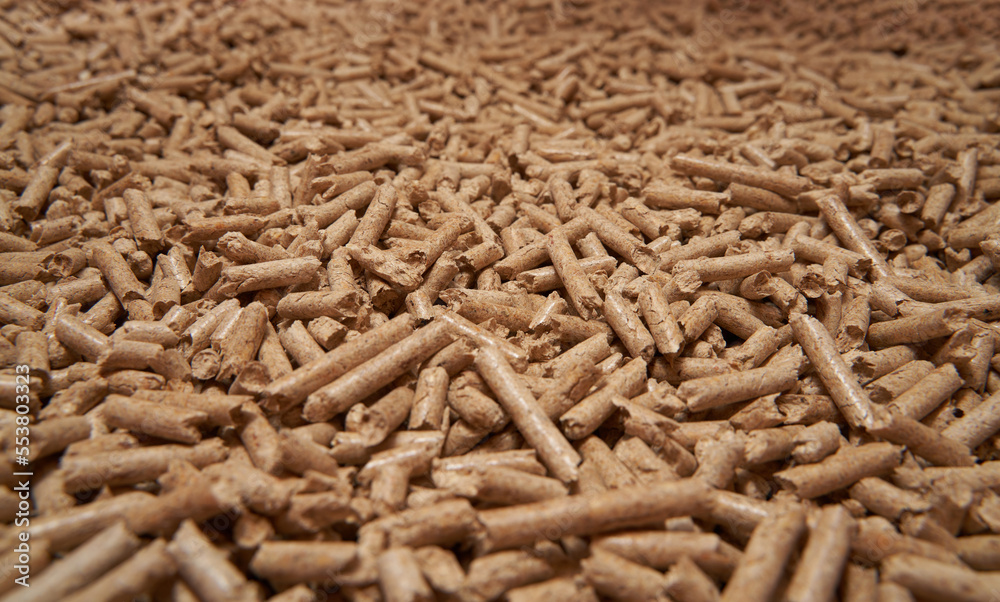 Flatlay of wood pellet. Macro shot of renewable and sustainable fuel. Pellet 6mm rolls is a byproduct of the wood industry