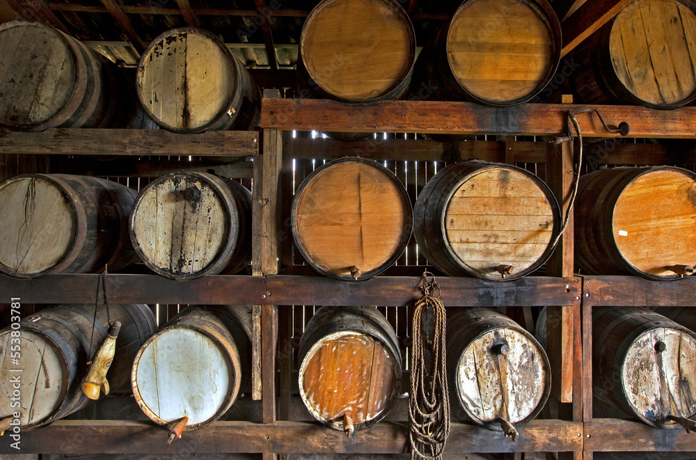 Sugarcane liquor, or cachaca in portuguese, resting in the barrel in the still for aging on countryside of Brazil Sugarcane liquor, or cachaca in portuguese, resting in the barrel in the still for aging on countryside of Brazil