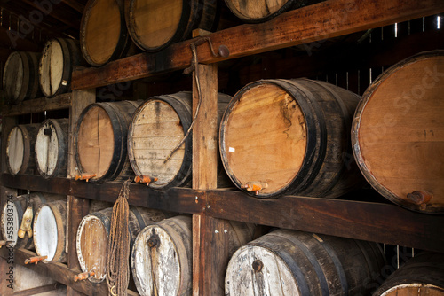 Sugarcane liquor  or cachaca in portuguese  resting in the barrel in the still for aging on countryside  of Brazil