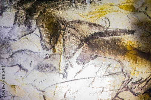 Reproductions de la Grotte Chauvet 2 photo