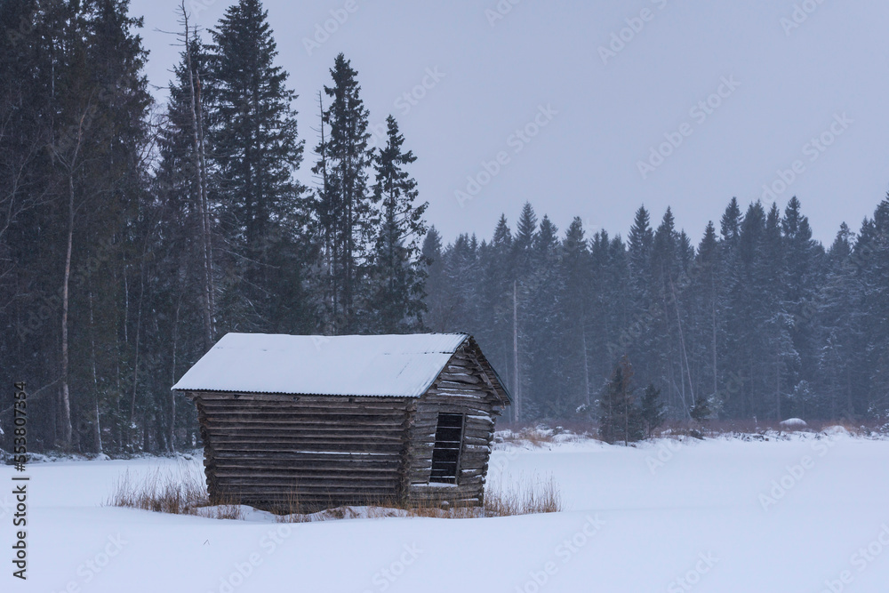 Old barn on a snowy field with trees in the background.  Österbotten/Pohjanmaa, Finland