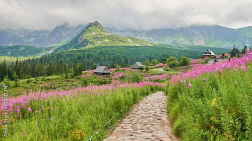 Beautiful mountain landscape. Polish mountains. Summer in the mountains.