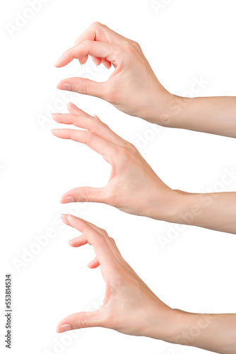 Woman hands set holding or measuring something. Isolated png with transparency