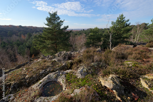 Coquibus hills in Fontainebleau forest