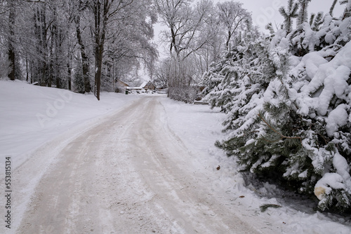 slippery snow covered winter road home through huge leafless deciduous trees covered with frost