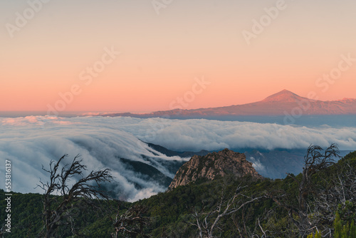 view of the sea of ​​clouds from the top of the Garajonay national park at sunset. La Gomera. Canary Islands