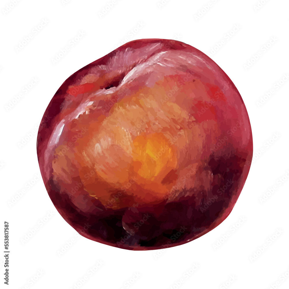 Fototapeta premium peach painting isolated on white