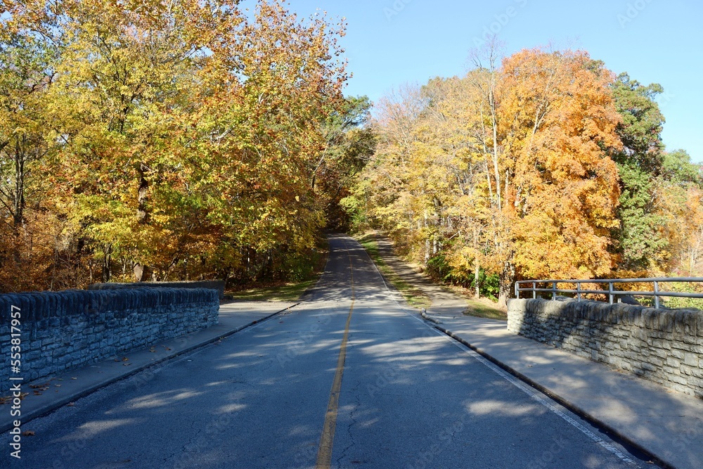 The long empty street in the country on a sunny fall day. The long empty street in the country on a sunny fall day.