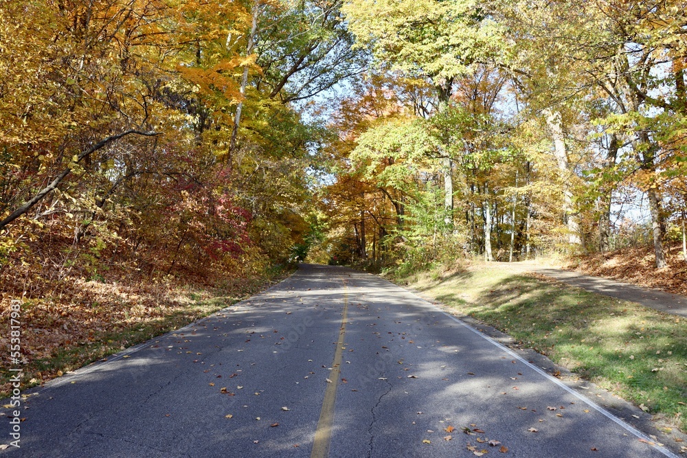 The empty road in the autumn countryside.
