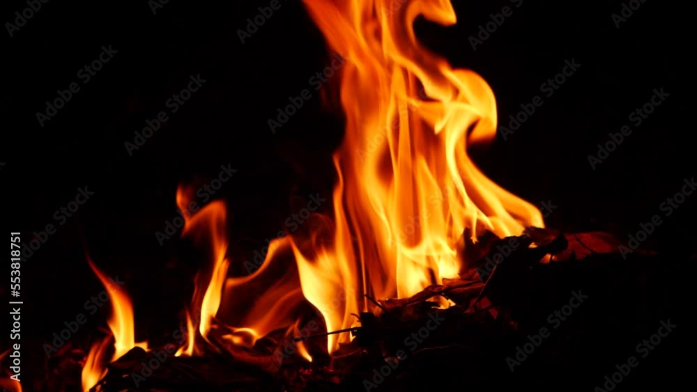 Zoomed in video of fire burning darkness surrounding flames Zoomed in video of fire burning darkness surrounding flames