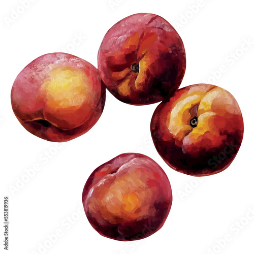 peaches isolated on white background