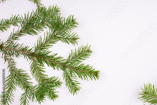 Festive xmas background. Merry christmas background. Fir branches christmas tree  great design for any purposes. 