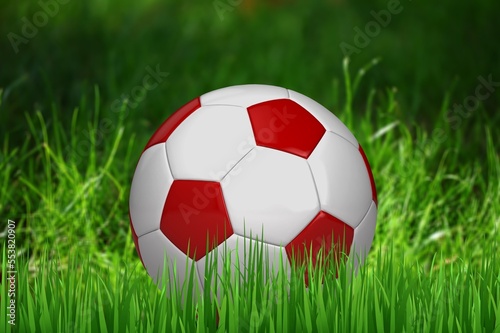 Classic football or soccer ball on grass © BillionPhotos.com
