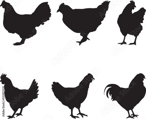 hen chicken silhouette set