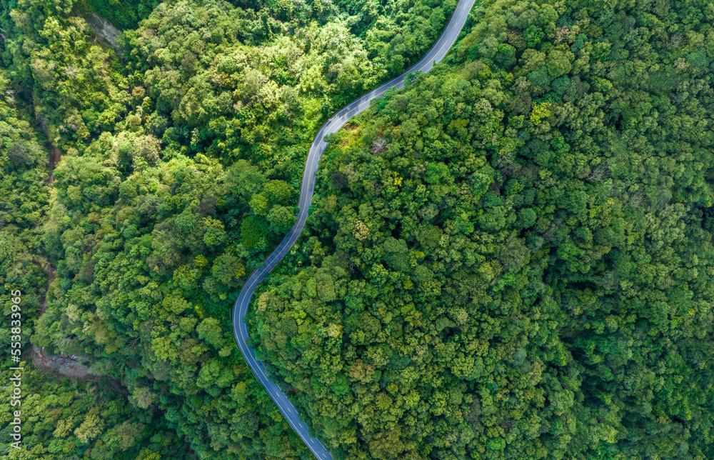 Road in the middle of the forest , road curve construction up to mountain, Rainforest ecosystem and healthy environment concept Road in the middle of the forest , road curve construction up to mountain, Rainforest ecosystem and healthy environment concept