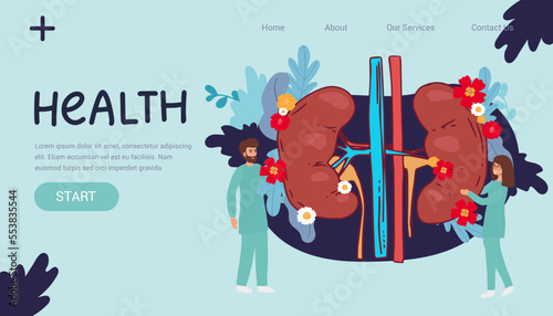 Doctors studying kidneys of donor at clinic. Medical persons checking human organ for surgery flat vector illustration. Nephrology, medicine concept for banner, website design or landing web page,