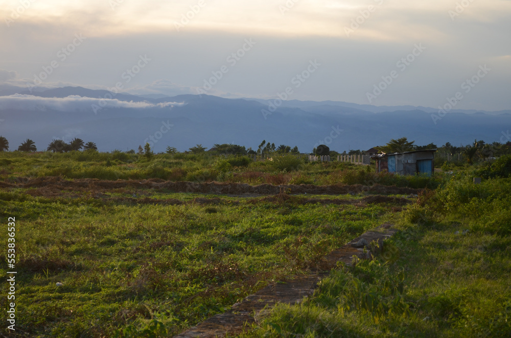Obraz premium Fields outside of Bujumbura, Burundi