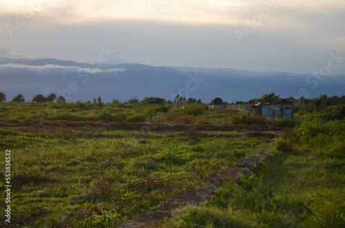 Fields outside of Bujumbura, Burundi photo