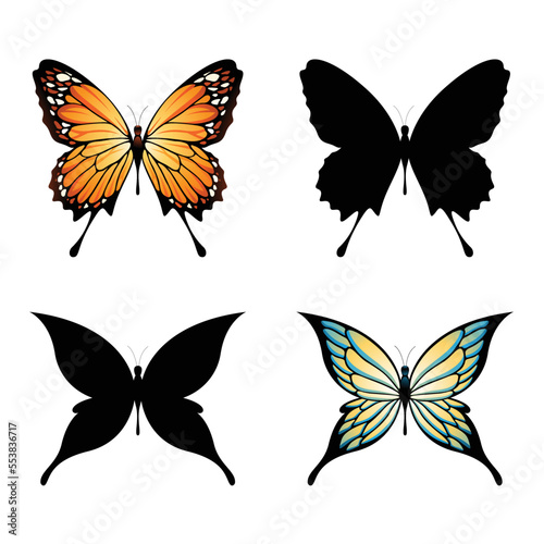 Colorful Butterflies and Butterfly Silhouettes