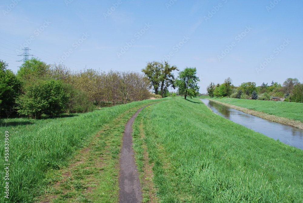 river and embankments and trees in spring, green grass, sunny day