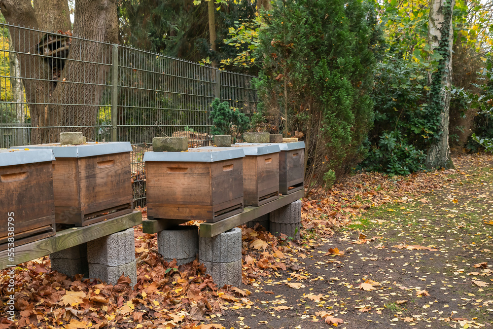 Bienenstöcke im Winterschlaf auf einem Friedhof in Hamburg Bienenstöcke im Winterschlaf auf einem Friedhof in Hamburg