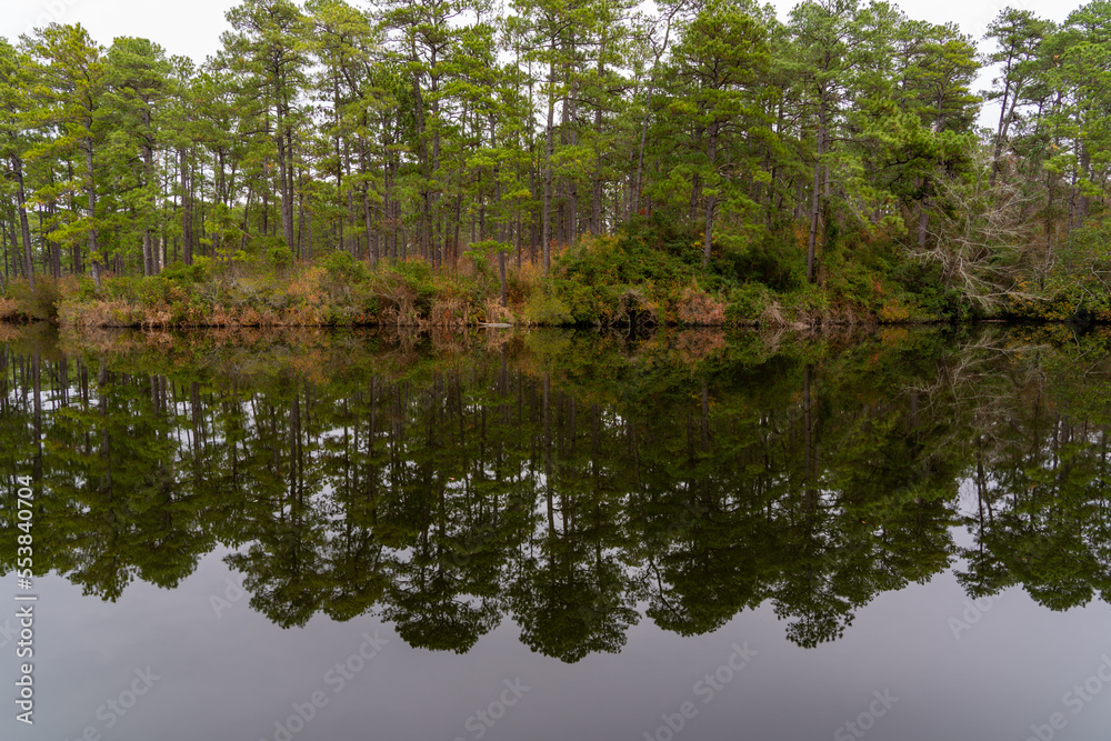 Beautiful tree line in a lake, reflecting on the still water