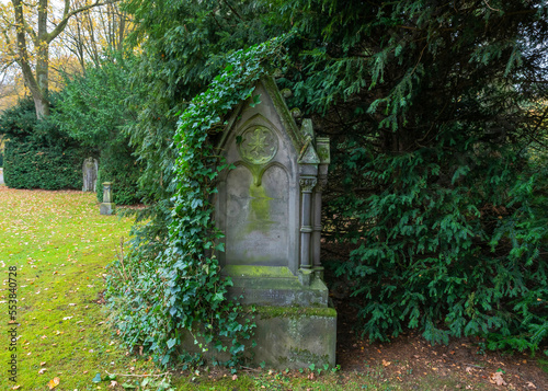 schöner alter Grabstein im Efeu auf einem Friedhof in Hamburg