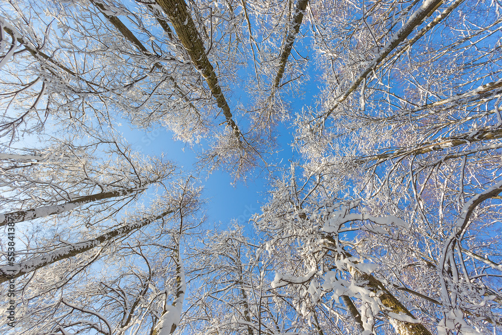 Beautiful winter landscape in a sunny frosty day Beautiful winter landscape in a sunny frosty day
