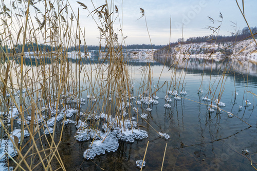 Frozen ice patterns of water in the reed bushes on the shore of the reservoir.