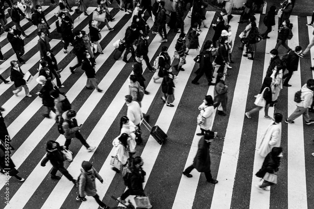 custom made wallpaper toronto digital師走の大阪の街。横断歩道を渡る人々が足早に通り過ぎる。モノクロで撮影