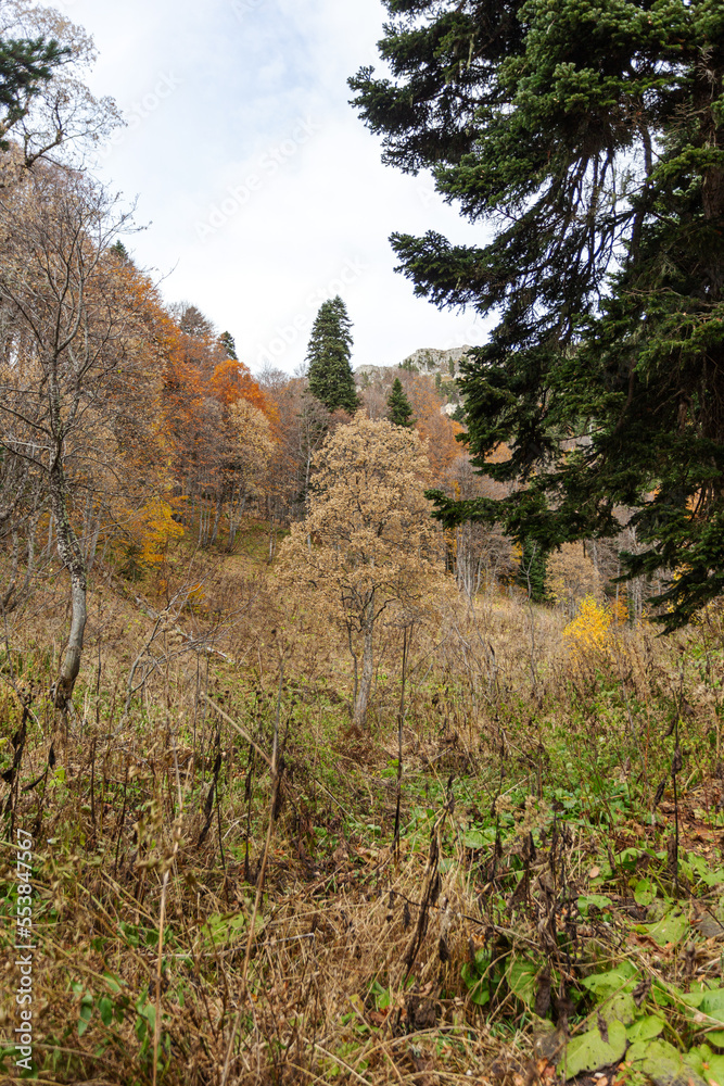 the beginning of autumn, nature walks, panoramic views of the mountains, hiking trails and recreation in the mountains.* the beginning of autumn, nature walks, panoramic views of the mountains, hiking trails and recreation in the mountains.*
