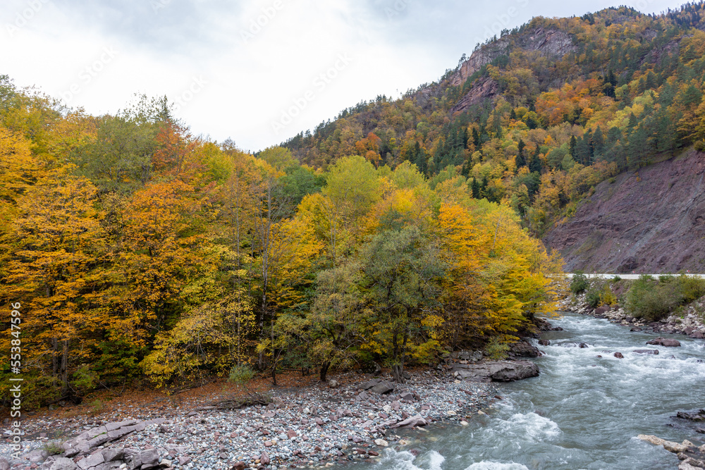 the beginning of autumn, nature walks, panoramic views of the mountains, hiking trails and recreation in the mountains.*