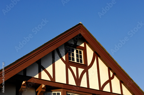 Tudor House Roof