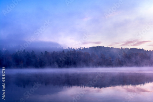 Foggy forest by the lake
