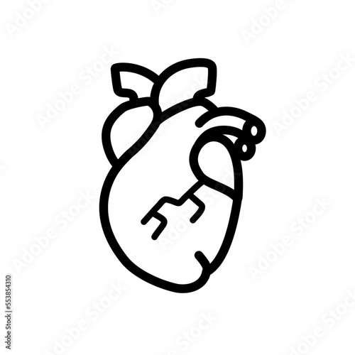  human heart anatomy icon