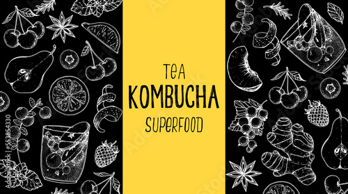 Kombucha tea and ingredients for kombucha sketch. Hand drawn vector illustration. Kombucha drink. Tea mushroom, tea fungus, or Manchurian mushroom.