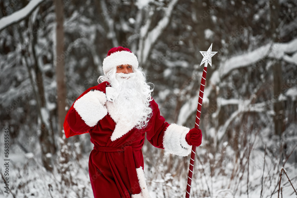Santa Claus with bag of Christmas gifts is walking in snow forest. Santa Claus with bag of Christmas gifts is walking in snow forest.