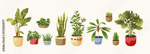 Potted plants set. Houseplants. Vector illustration