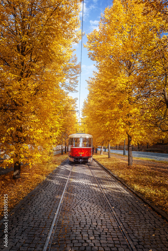 Tram in Prague is riding through the tunnel of autumn trees in autumn. Prague. Public transport.