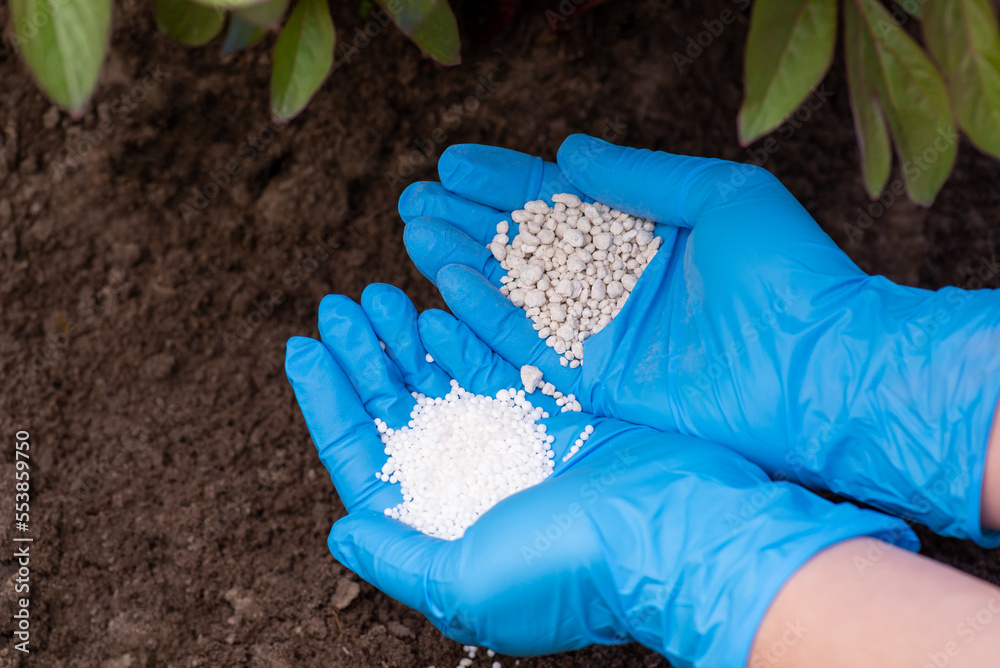 Nitrogen Fertilizer Types