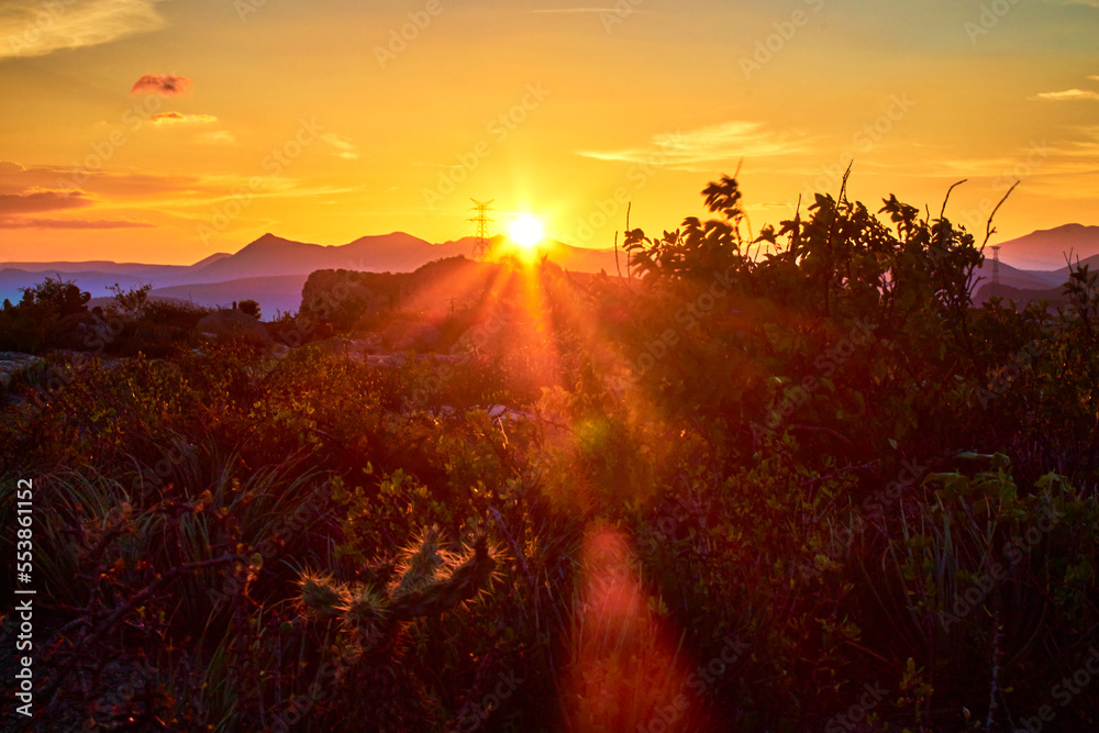 red sunset on desert with desertic plants, cactus and biznagas, orange sky and mountains in the background, zimapan hidalgo 