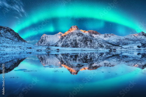 Northern lights over the snowy mountains, sea coast, reflection in water at night in Lofoten, Norway. Aurora borealis and snow covered rocks. Winter landscape with polar lights and fjord. Starry sky © den-belitsky